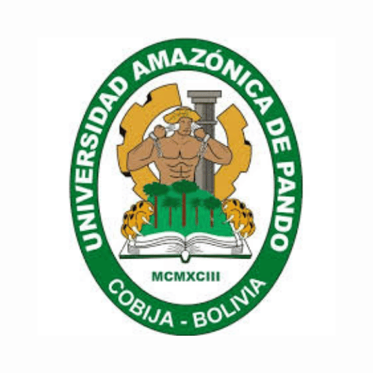 Alianza libres sin violencia Oruro