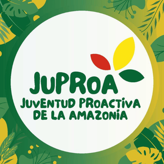 Asociación de Instituciones de Promoción y Educación - AIPE