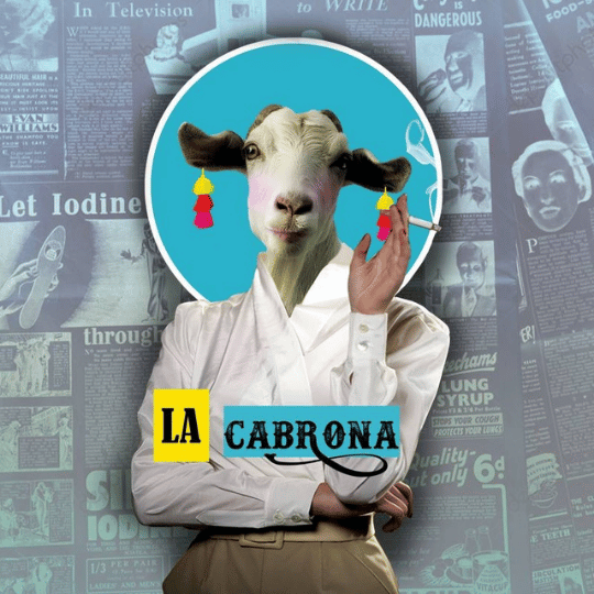 8 asoc nacional periodistas